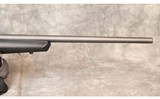 Savage ~ B17 ~ .17HMR - 6 of 12