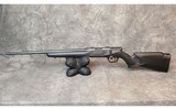 Savage ~ B17 ~ .17HMR - 1 of 12