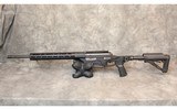 Savage ~ Model 10 ~ .308 Win - 1 of 12