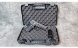 Sig Sauer ~ P320 ~ 9mm