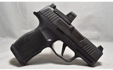 Sig Sauer ~ P365X ~ 9mm Luger