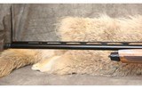 Stoeger ~ M3000 ~ 12 Gauge - 2 of 12