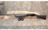 Stoeger ~ M3000 ~ 12 Gauge