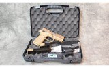 Sig Sauer ~ P365 ~ .380