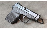 Smith and Wesson ~ Body Guard ~ .380 - 2 of 4