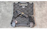 Sig Sauer ~ Custom Works P365X ~ 9mm