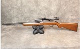 Winchester ~ Model 77 ~ .22LR
