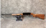 Winchester ~ Model 190 ~ .22 LR