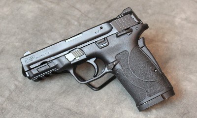 Smith and Wesson ~ Shield EZ ~ .380 Auto