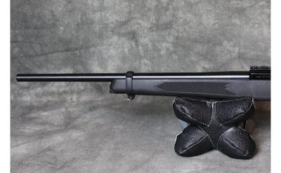 Ruger ~ 10/22 ~ .22LR