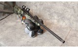 Howa ~ Model 1500 ~ .243 Win - 11 of 11