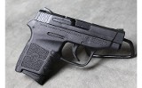Smith and Wesson ~ M&P Bodyguard ~ .380 ACP - 1 of 3