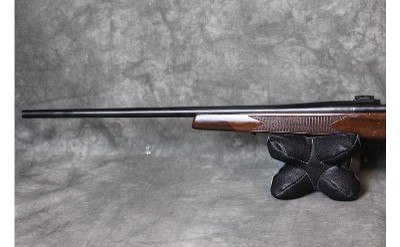 Weatherby ~ Vanguard ~ .300