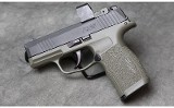 Sig Sauer ~ P365 ~ 9mm