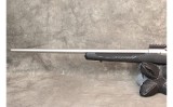 Savage ~ 110 ~ .30-06