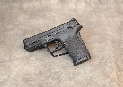 Smith & Wesson ~ M&P 9 Shield