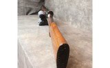 Browning ~ Light Twelve ~ 12 - 7 of 7