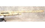 Benelli ~ Nova ~ 12 - 3 of 8
