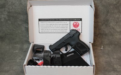 Ruger ~ LCP Max ~ .380 Auto