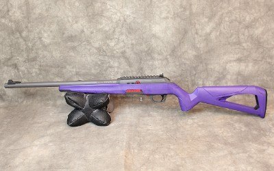 Winchester ~ Wildcat ~ .22LR