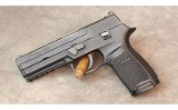 Sig Sauer ~ P250 ~ 9mm - 3 of 5