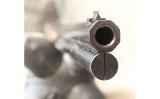 Winchester ~ 1886 ~ .45-70 - 8 of 8