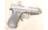 Palmetto State Armory ~ Dagger Combat ~ 9mm - 2 of 4