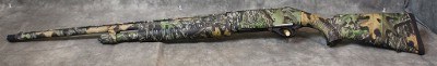 Akkar ~ Sharp Spur ~ 20 - Image 1 of 8