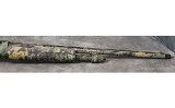 Akkar ~ Sharp Spur ~ 20 - 6 of 8