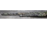 Akkar ~ Sharp Spur ~ 28 - 3 of 8
