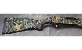 Akkar ~ Sharp Spur ~ 28 - 5 of 8