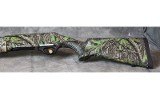 Akkar ~ Sharp Spur ~ 28 - 2 of 8