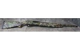 Akkar ~ Sharp Spur ~ 12 - Image 4 of 8
