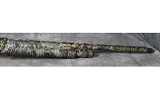 Akkar ~ Sharp Spur ~ 12 - Image 6 of 8