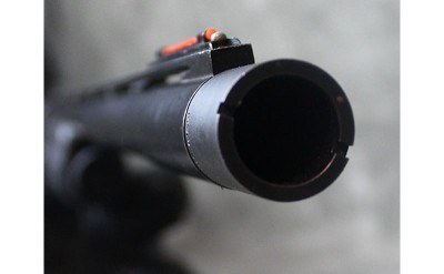 Beretta ~ 1201F ~ 12 - Image 8 of 8