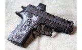 Sig Sauer ~ P229 ~ 9mm - 2 of 4