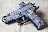 Sig Sauer ~ P229 ~ 9mm - 1 of 4