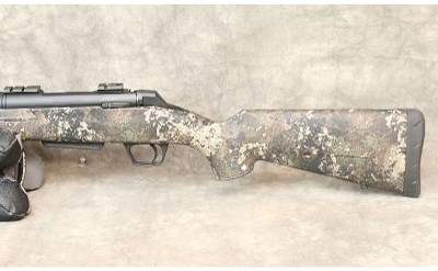 Winchester ~ XPR ~ .350 Legend - Image 3 of 8