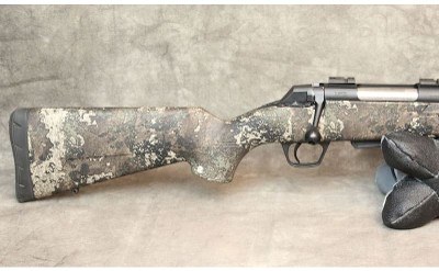 Winchester ~ XPR ~ .350 Legend - Image 6 of 8