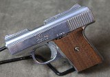 Raven Arms ~ MP-25 ~ .25 - 1 of 4