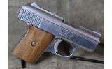 Raven Arms ~ MP-25 ~ .25 - 2 of 4