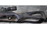 Winchester ~ Wildcat ~ 22 - 5 of 8