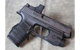 Sig Sauer ~ P365X ~ 9mm - 2 of 4