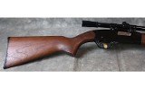 Winchester ~ Model 190 ~ .22 - 2 of 8
