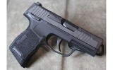 Sig Sauer ~ P365 ~ .380 - 2 of 4