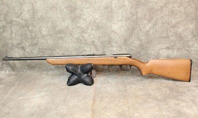 H&R ~ 250 ~ .22LR