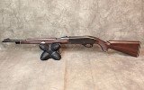 Remington ~ Nylon 66 ~ .22LR - Image 1 of 8