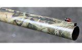 Benelli ~ Super Nova ~ 12 - Image 8 of 8