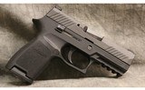 Sig Sauer ~ P320 ~ .40 S&W - 1 of 3