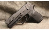 Sig Sauer ~ P320 ~ .40 S&W - 2 of 2